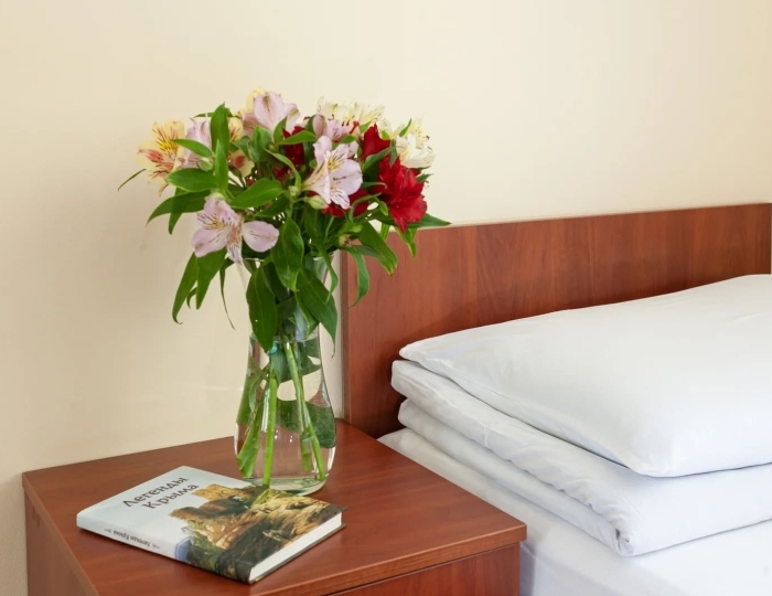 Стандарт улучшенный - Санаторий «Таврия» Евпатория