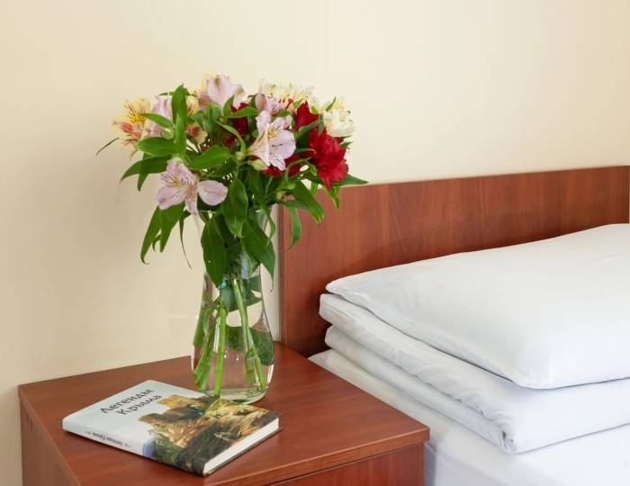 Стандарт премиум одноместный - Санаторий «Таврия» Евпатория